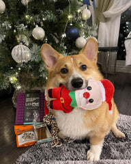 Small Dog Toy Christmas, Plush Squeaky Puppy Toy, Holiday Dog Toy Gift Set