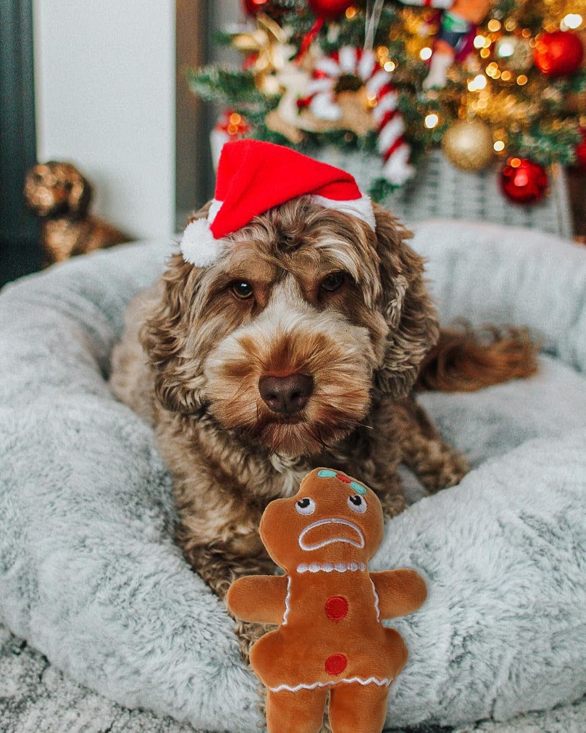 Small Dog Toy Christmas, Plush Squeaky Puppy Toy, Holiday Dog Toy Gift Set