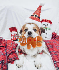 Small Dog Toy Christmas, Plush Squeaky Puppy Toy, Holiday Dog Toy Gift Set