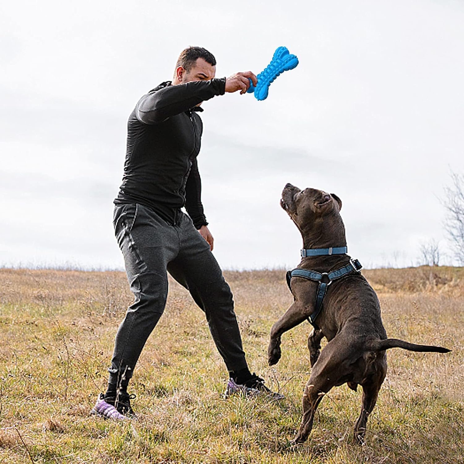 Dog Toys for Aggressive Chewers, Durable Dog Bones Squeaky Chew Toy | Nearly Indestructible Dog Toys for Large, Tough Natural Rubber Puppy Chew for Medium Teeth Cleaning